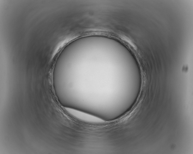 X0000091061357200708060950