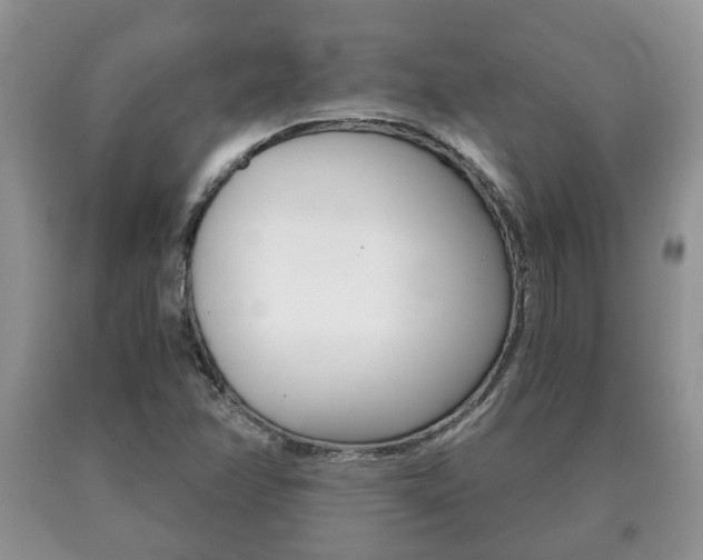 X0000091061358200708060950