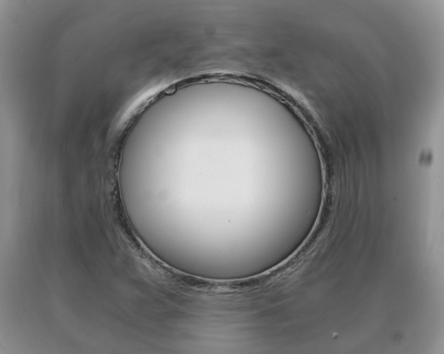 X0000091061359200708060950