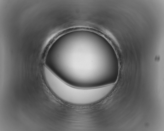 X0000091061360200708060950