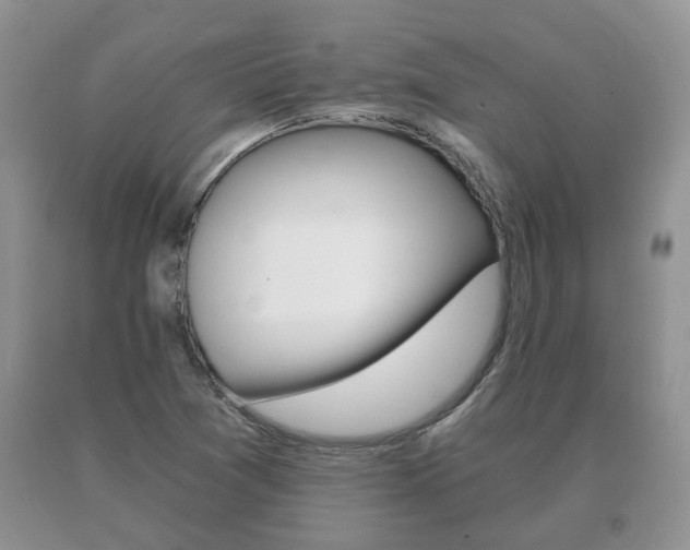 X0000091061361200708060950
