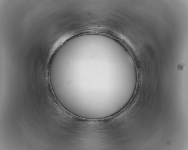 X0000091061362200708060950