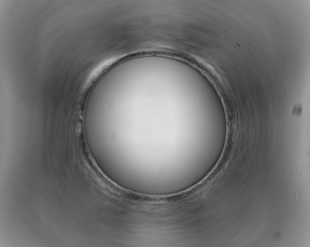 X0000091061363200708060950