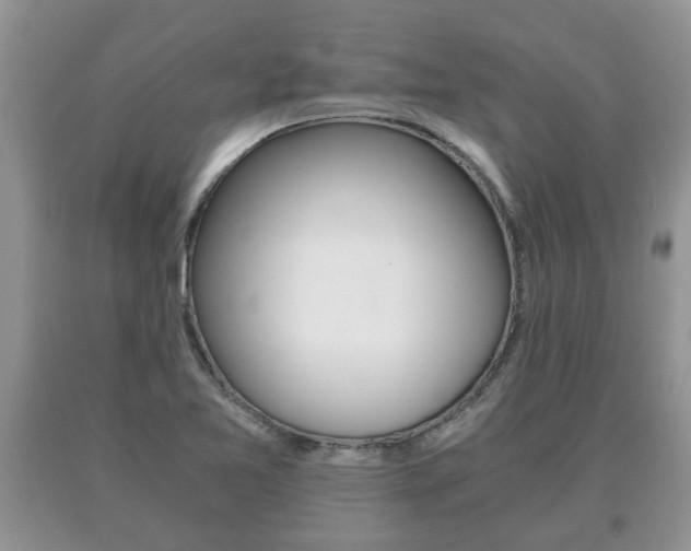 X0000091061365200708060950