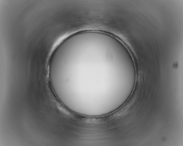 X0000091061366200708060950
