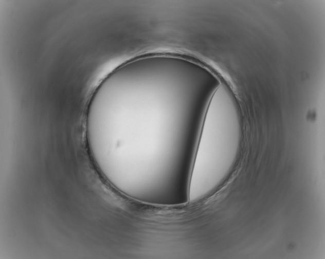 X0000091061367200708060950