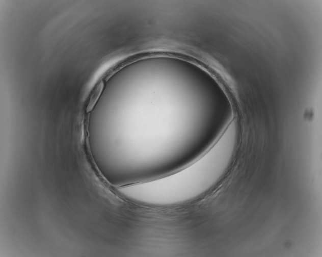 X0000091061368200708060950
