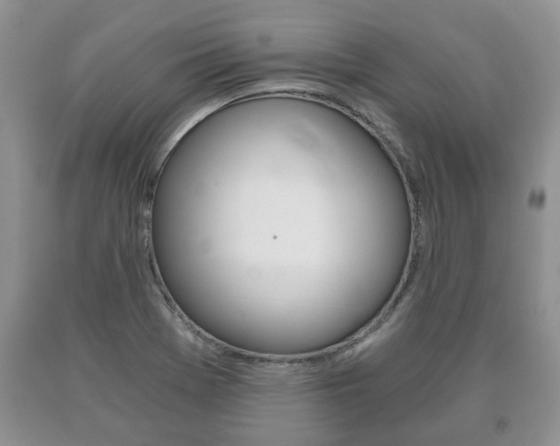 X0000091061369200708060950