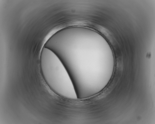 X0000091061370200708060950