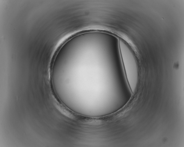 X0000091061372200708060950