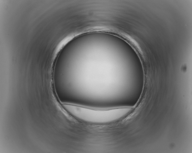 X0000091061373200708060950