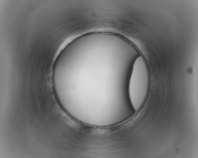 X0000091061374200708060950