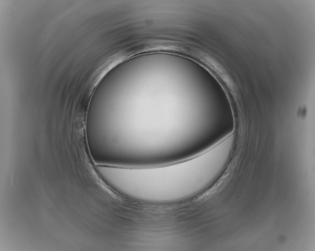 X0000091061377200708060950