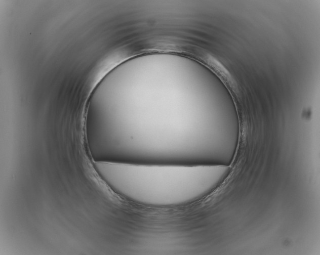X0000091061378200708060950