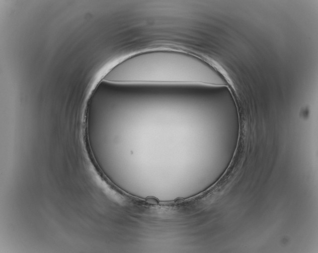 X0000091061379200708060950