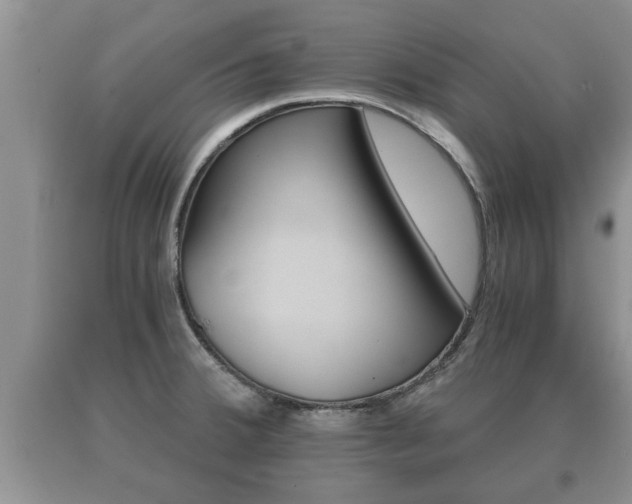 X0000091061380200708060950