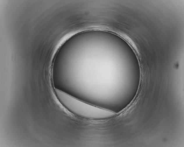 X0000091061381200708060950