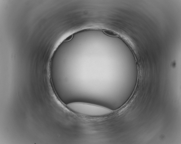 X0000091061382200708060950