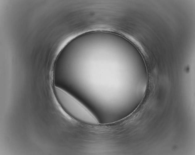 X0000091061383200708060950