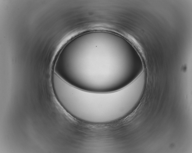X0000091061384200708060950
