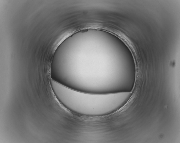 X0000091061385200708060950