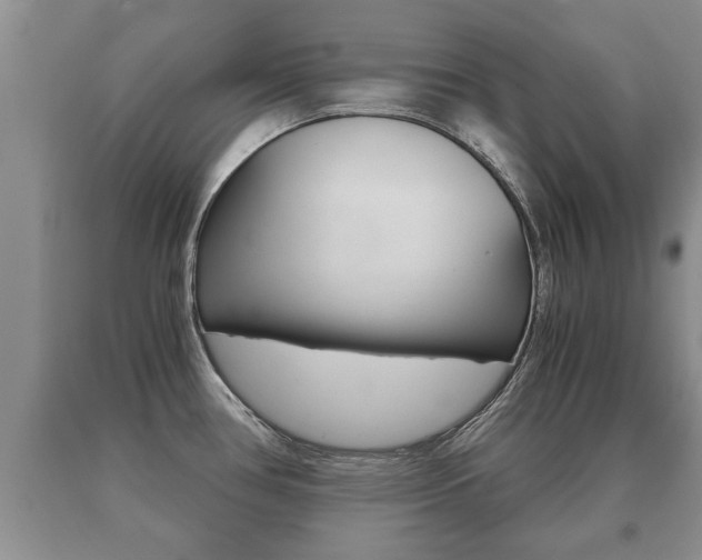 X0000091061386200708060950