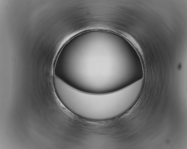 X0000091061388200708060950
