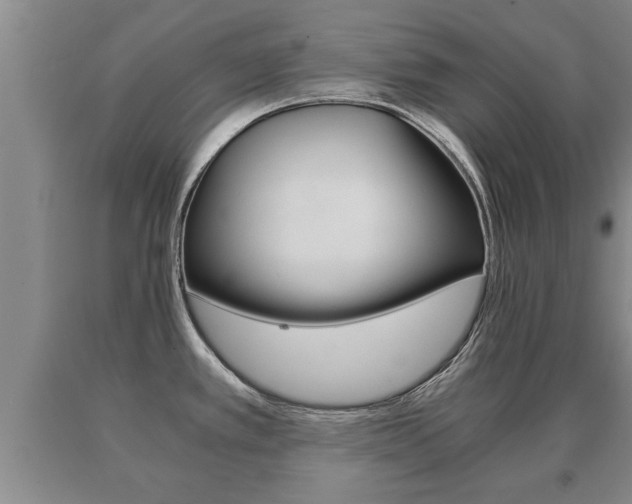 X0000091061389200708060950