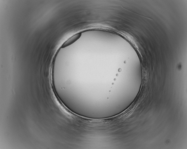 X0000091061391200708060950