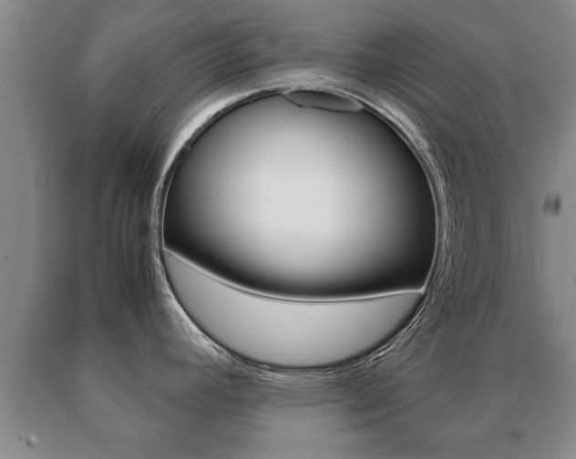 X0000091061392200708060950