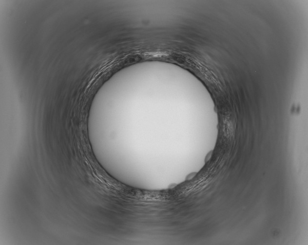 X0000091061393200708060949