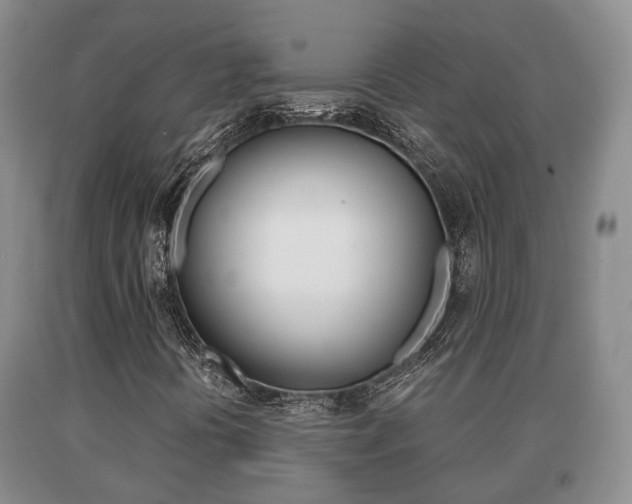 X0000091061394200708060949