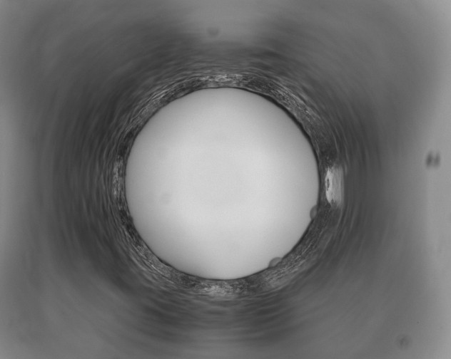 X0000091061395200708060949
