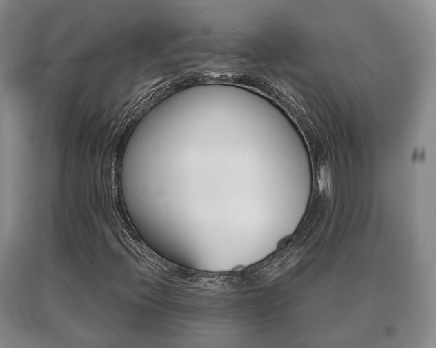 X0000091061396200708060949