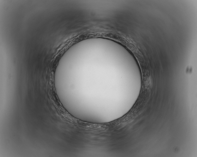 X0000091061397200708060949