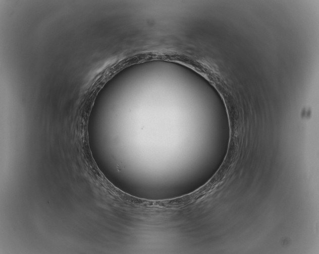 X0000091061398200708060949