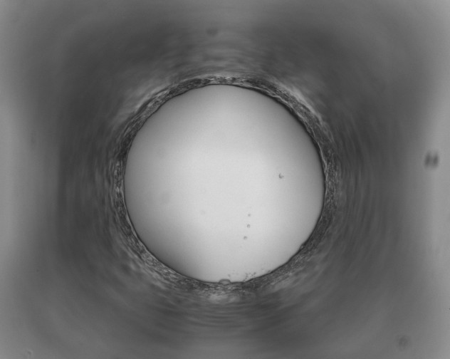 X0000091061399200708060949