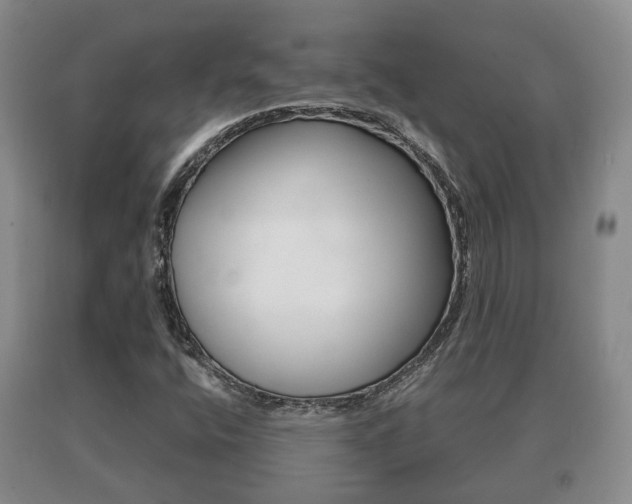 X0000091061400200708060949