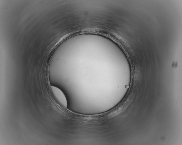 X0000091061401200708060949