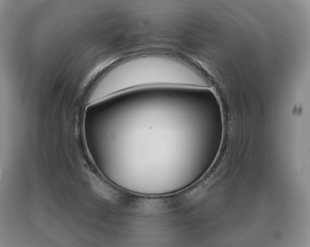 X0000091061402200708060949
