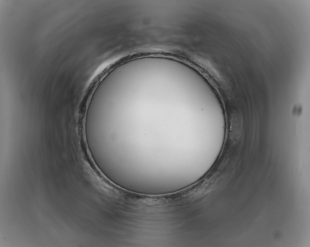 X0000091061404200708060949