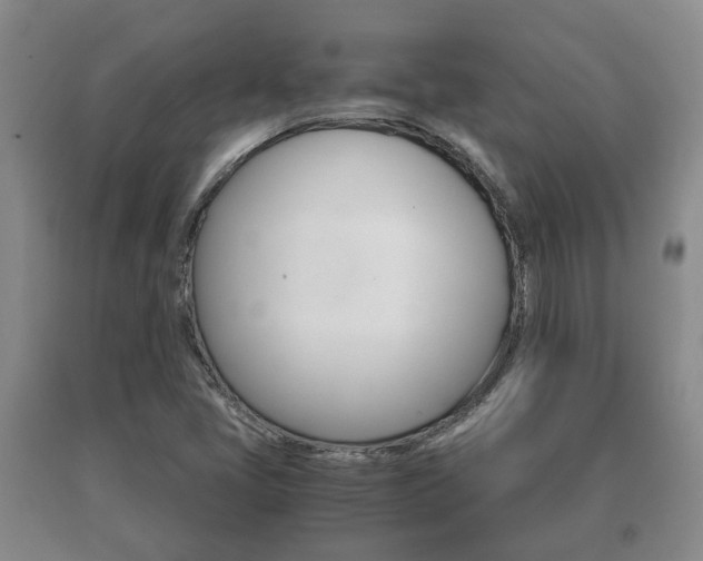 X0000091061405200708060949