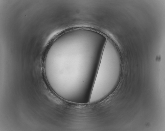 X0000091061408200708060949