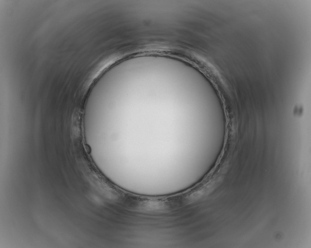 X0000091061409200708060949