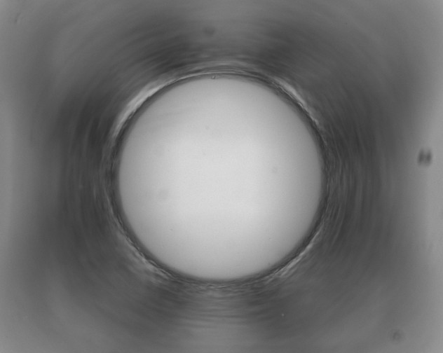 X0000091061410200708060949