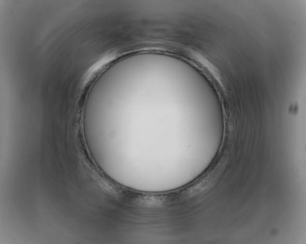X0000091061411200708060949