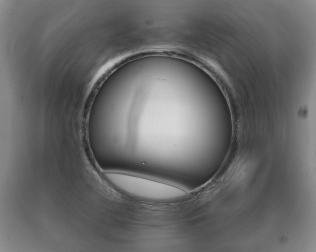 X0000091061412200708060949