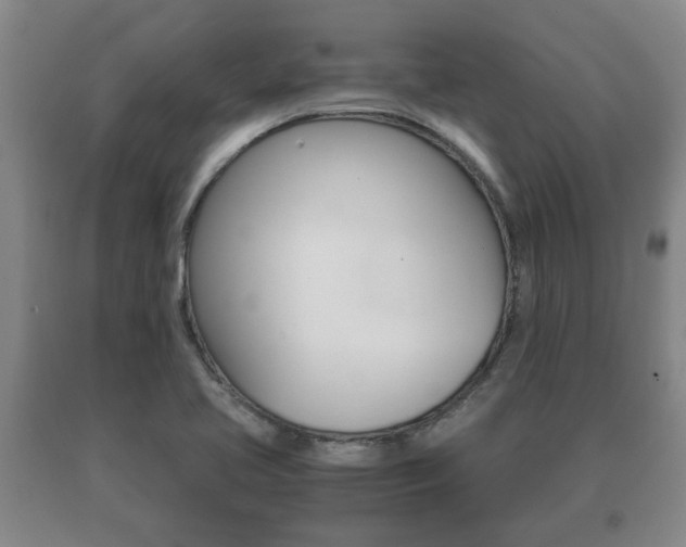 X0000091061413200708060949