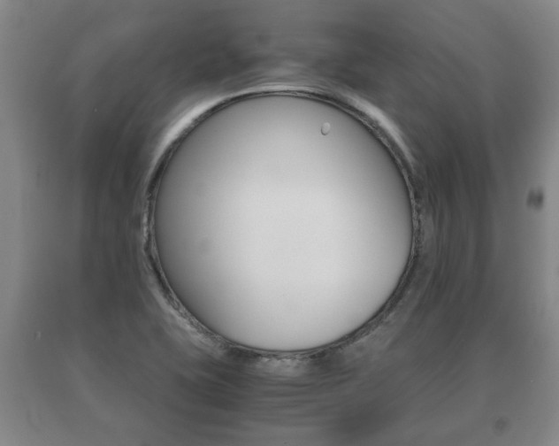 X0000091061415200708060949