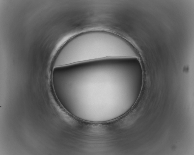 X0000091061416200708060949